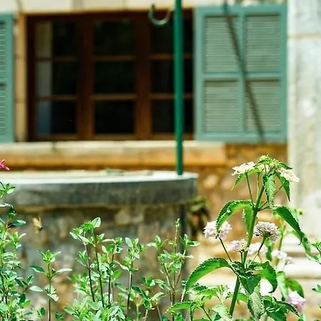 Lovely Mallorquin In By Renthousing Villa *