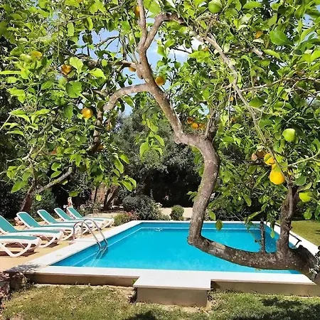 Lovely Mallorquin In By Renthousing Villa