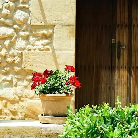 Lovely Mallorquin In By Renthousing